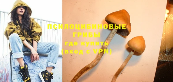 ECSTASY Надым