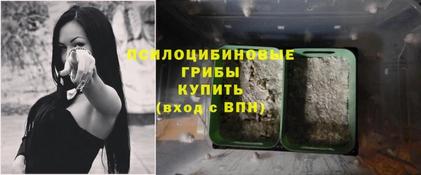 ECSTASY Надым