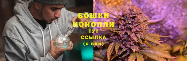 ECSTASY Надым