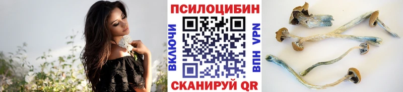 Галлюциногенные грибы GOLDEN TEACHER  гидра вход  Кущёвская 